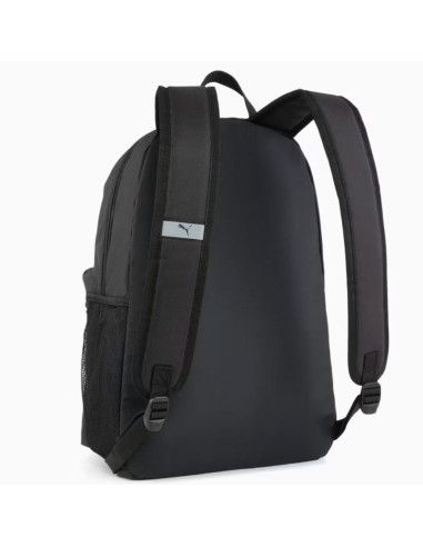 Pleack puma phase 091164