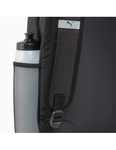 Pleack puma phase 091164