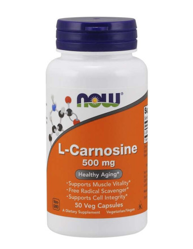 L-Karnozyna 500 mg - L-Carnosine (50 kaps.)