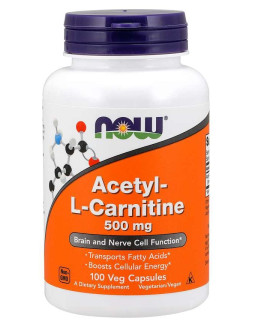 Acetyl L-Karnityna HCI 500 mg (100 kaps.)