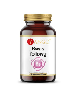 Kwas foliowy 600 mcg (90 kaps.)