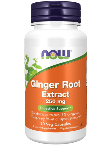 Ginger Root Extract - Wyciąg z korzenia imbiru 250 mg  (90 kaps.)