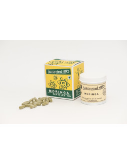Moringa (100 kaps.)