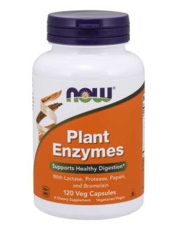 Plant Enzymes - Enzymy roślinne (120 kaps.)