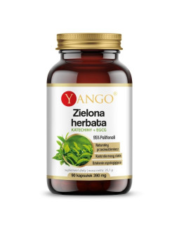 Zielona herbata - 95% polifenoli - Katechiny + EGCG (90 kaps.)