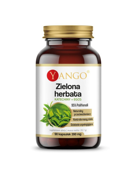 Zielona herbata - 95% polifenoli - Katechiny + EGCG (90 kaps.)
