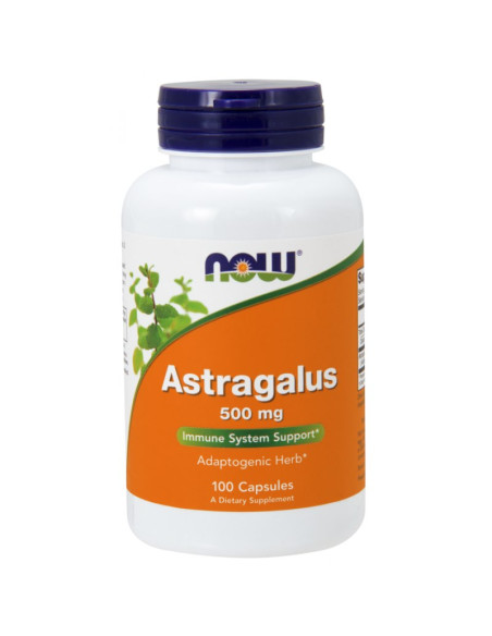 Astragalus - Traganek 500 mg (100 kaps.)