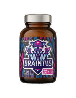 Ostrovit Braintus Focus (90 Kap.)