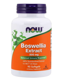 Boswellia 500 mg ekstrakt (90 kaps.)