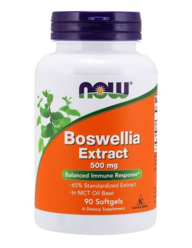 Boswellia 500 mg ekstrakt (90 kaps.)