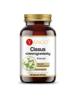 Cissus Czworograniasty - ekstrakt 10:1 (90 kaps.)