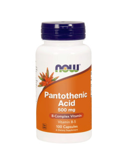 Pantothenic Acid - Kwas Pantotenowy (Witamina B5) 500 mg (100 kaps.)