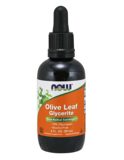 Olive Leaf Glycerite - Liść Oliwny (59 ml)