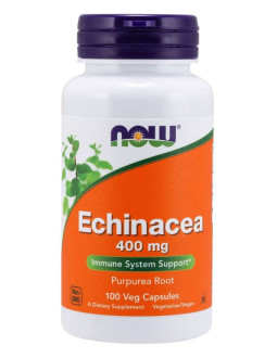 Echinacea - Jeżówka Purpurowa (100 kaps.)