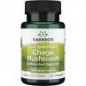 Full Spectrum Chaga Mushroom (60 kaps.)