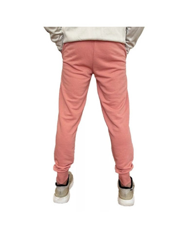 Spodnie puma ess+ 2 col logo m 586768