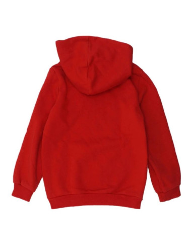 Bluza puma dct hoodie jr