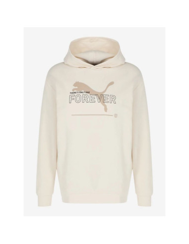 Bluza puma fd ess btr m 673293