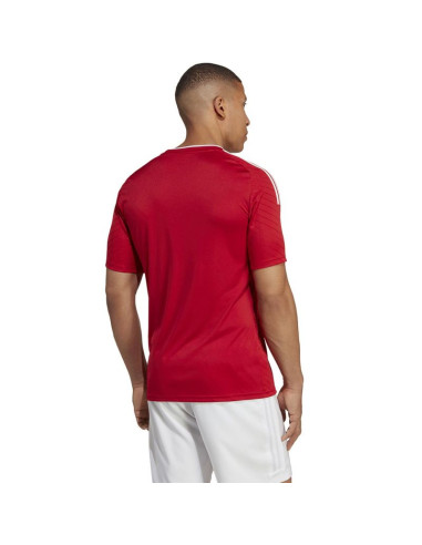 Koszulka adidas campeon 23 jersey m