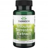 Tribulus Terrestris Extract 500 mg (60 kaps.)