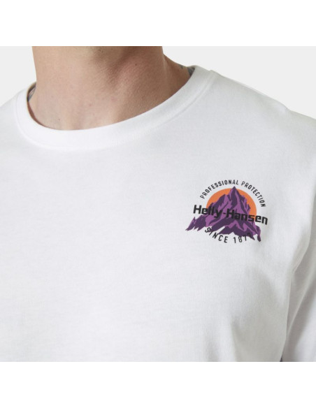 Koszulka helly hansen core graphic t 2.0 m 54599