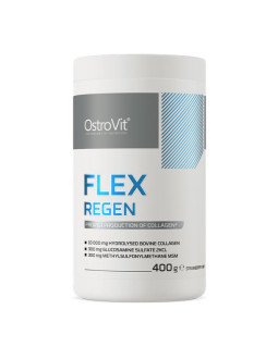 Ostrovit Flex Regen - Smak Truskawka-Kiwi (400 G)
