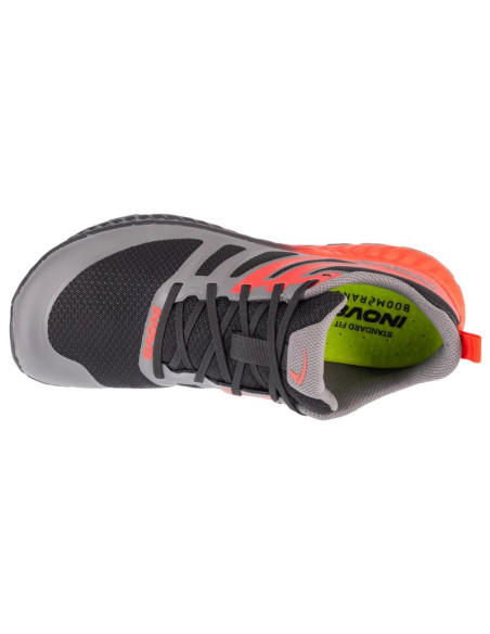 Buty do biegania inov-8 trailfly standard m