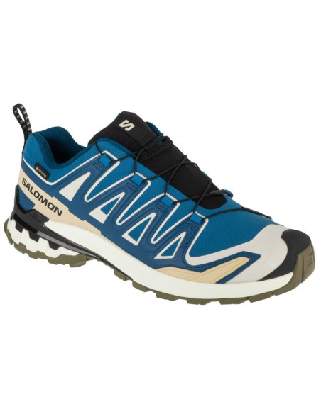 Buty do biegania salomon xa pro 3d v9 gtx m