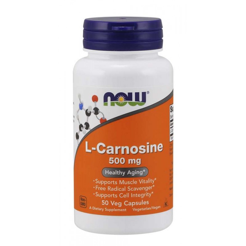 L-Karnozyna 500 mg - L-Carnosine (50 kaps.)