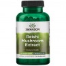 Reishi Mushroom Extract (90 kaps.)