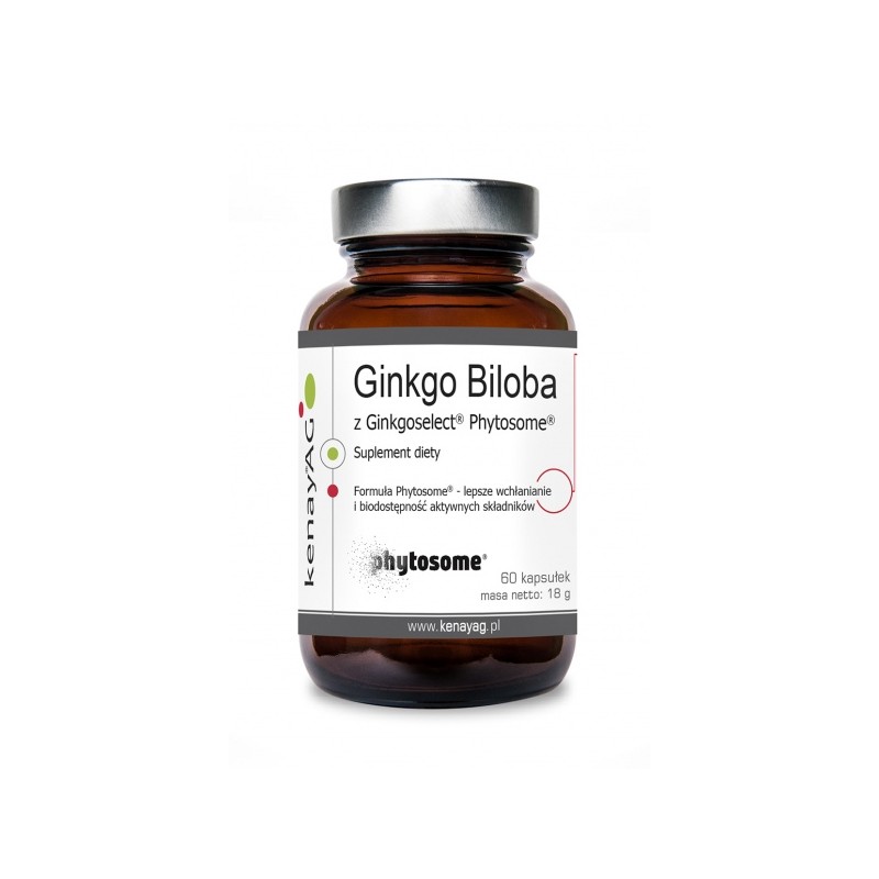 Ginkgo Biloba z Ginkgoselect Phytosome (60 kaps.)