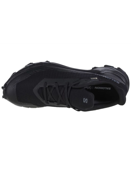 Buty do biegania salomon alphacross 5 gtx m