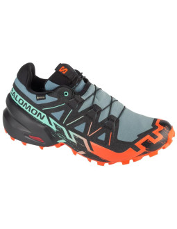 Buty do biegania salomon speedcross 6 gtx m