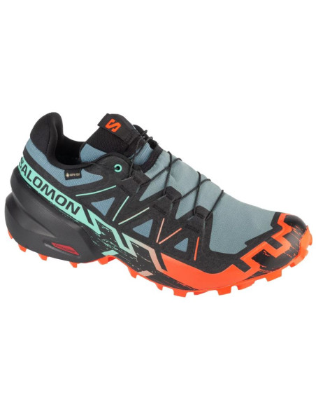 Buty do biegania salomon speedcross 6 gtx m