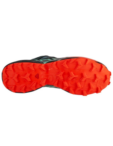 Buty do biegania salomon speedcross 6 gtx m