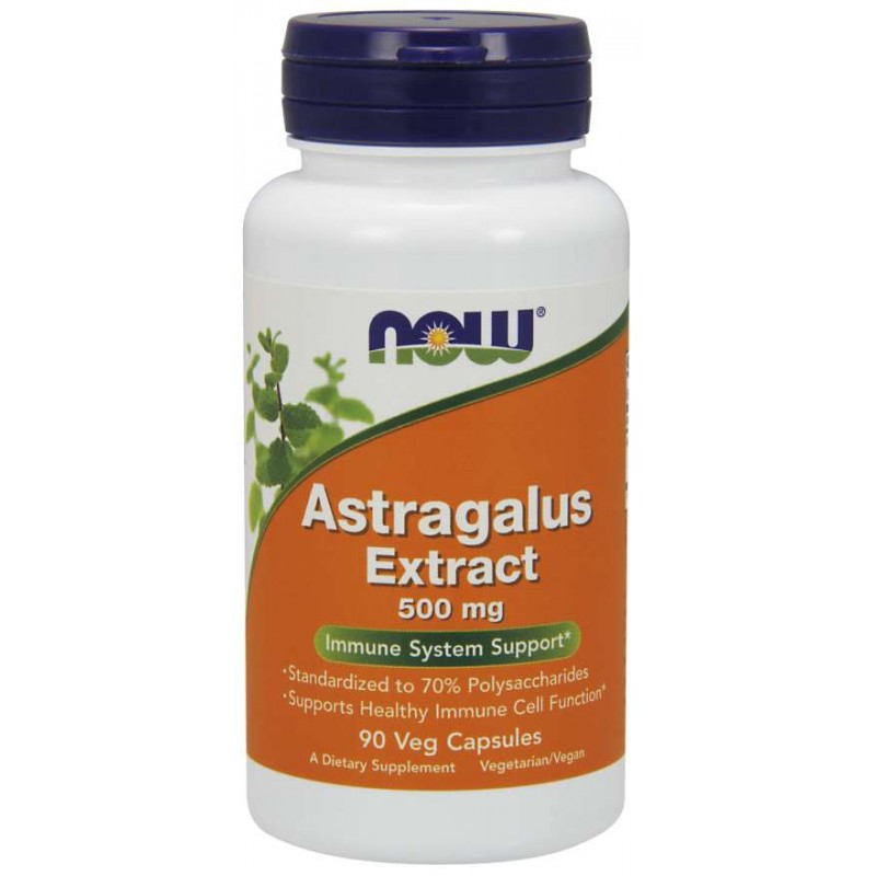 Astragalus Extract - Traganek 500 mg (90 kaps.)