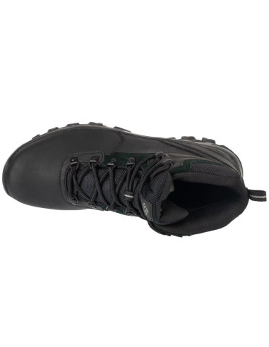 Buty columbia newton ridge plus ii m