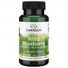 Wild Blueberry (90 kaps.)