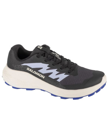 Buty do biegania salomon alphaglide w