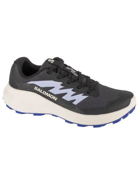 Buty do biegania salomon alphaglide w