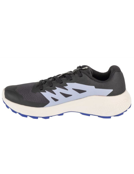 Buty do biegania salomon alphaglide w