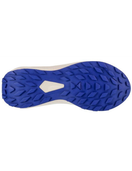 Buty do biegania salomon alphaglide w