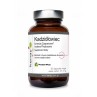 Kadzidłowiec Casperome® Indena Phytosome - ekstrakt (60 kaps.)