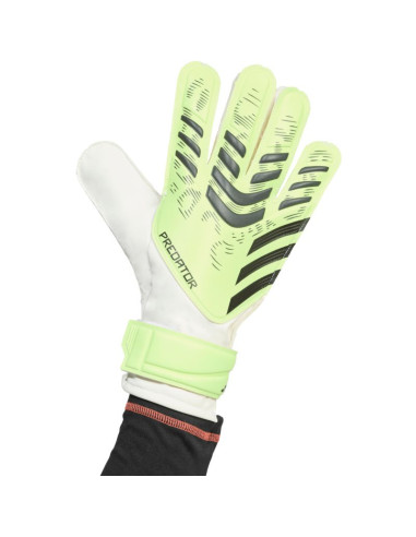 Rękawice bramkarskie adidas predator training m