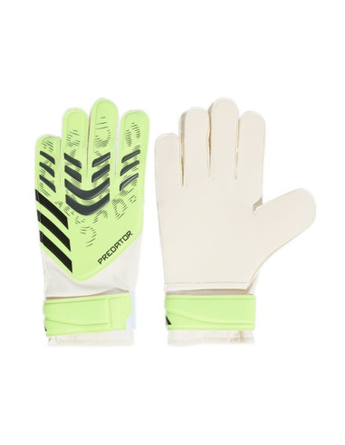 Rękawice bramkarskie adidas predator training m