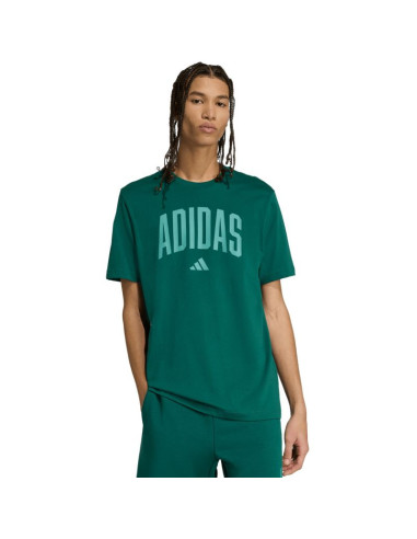 Koszulka adidas collegiate lineage graphic m