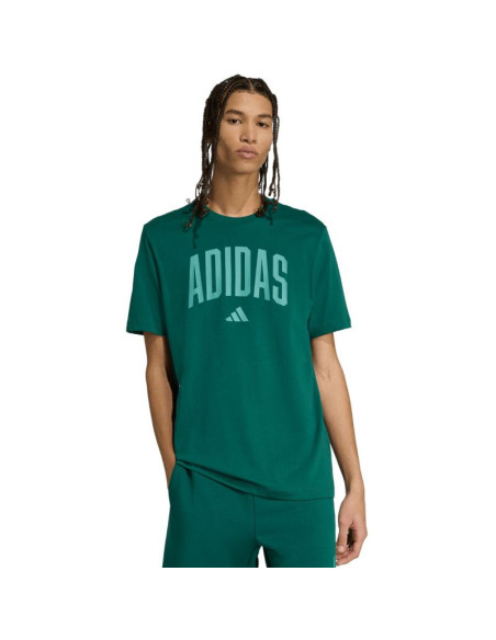 Koszulka adidas collegiate lineage graphic m