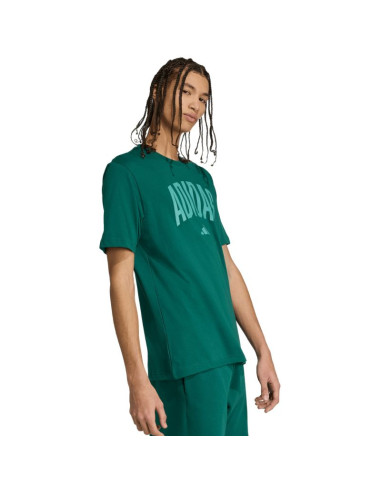 Koszulka adidas collegiate lineage graphic m