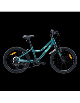 Dziecięcy rower radvik viking 20