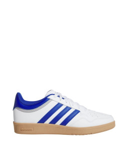 Buty adidas hoops 4.0 m